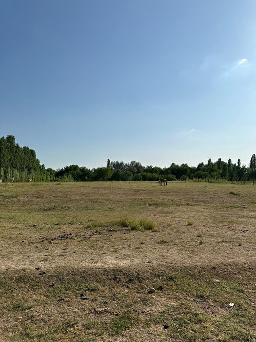участок 15 соток