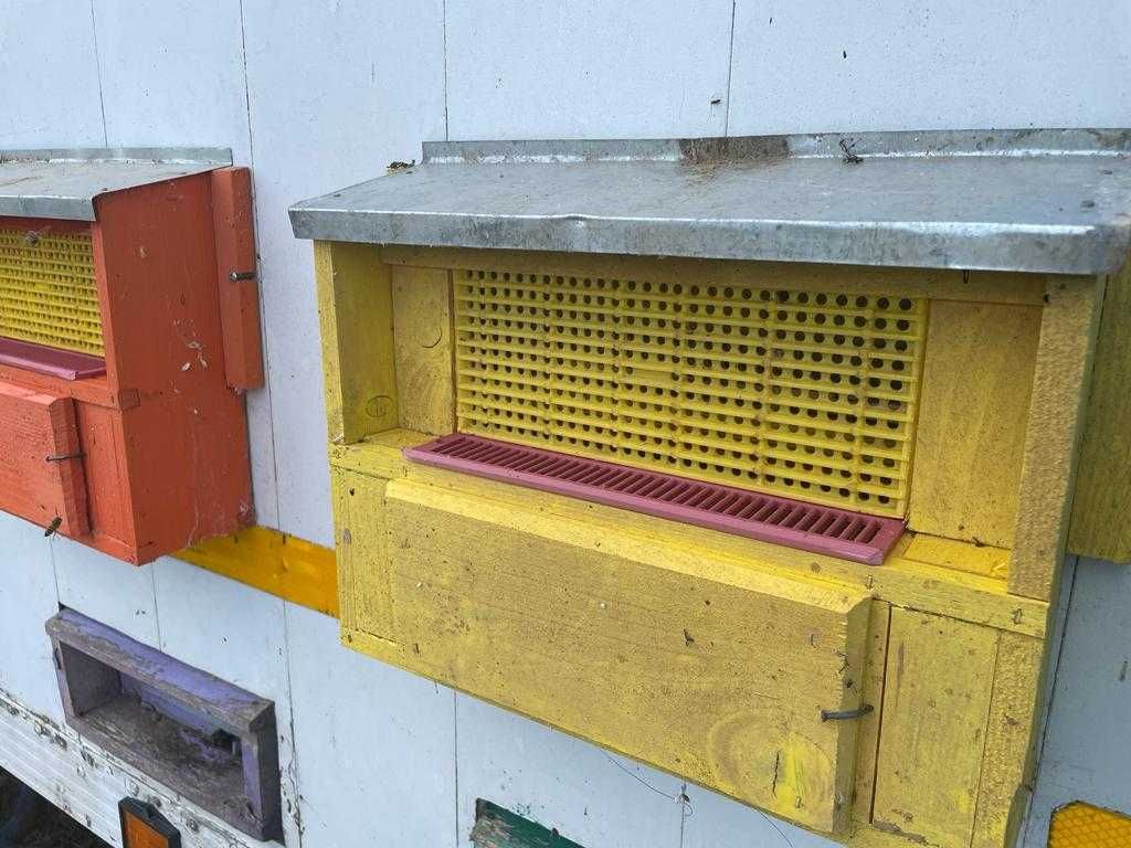 Remorcă pavilion apicol