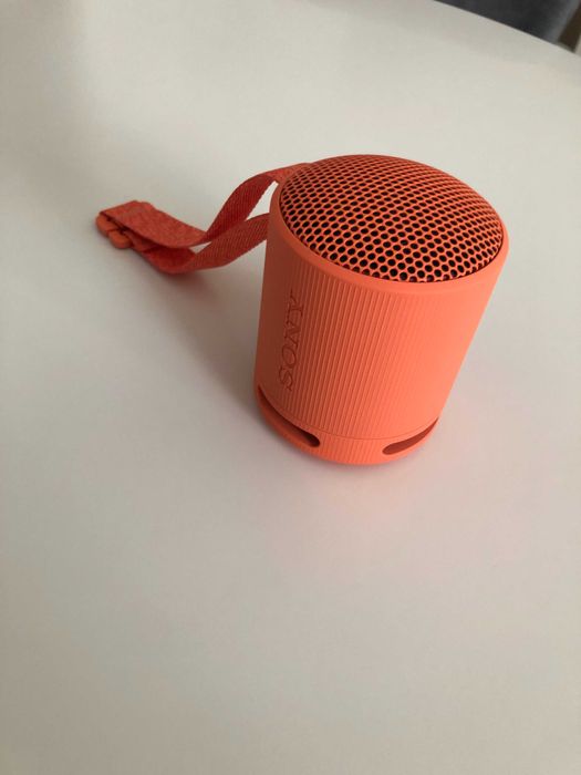 Bluetooth колонка Sony XB 100