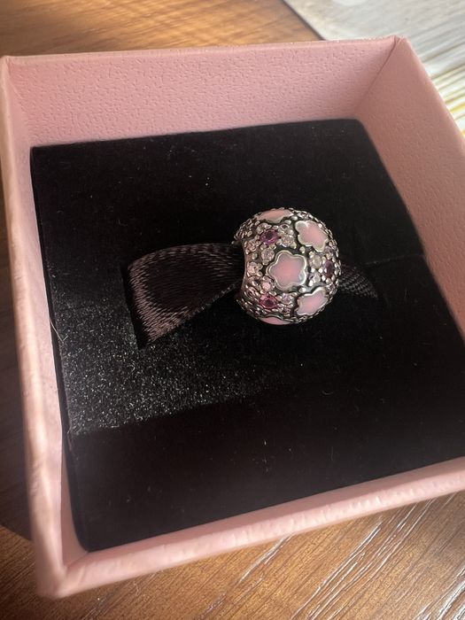 Сребърни талисмани съвместими с Pandora