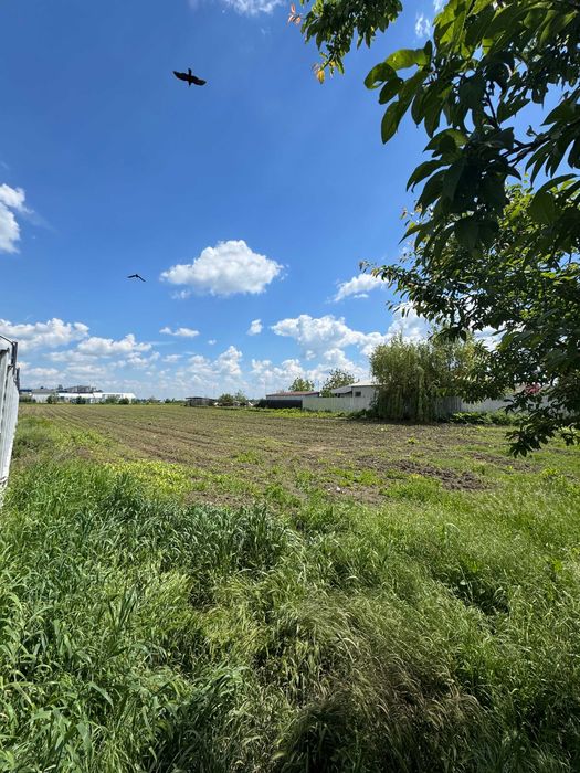 Teren Intravilan Urlati