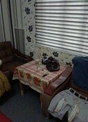 СРОЧНО ПРОДАЕТСЯ 1 ком. Кв.. г. Чирчик в ценр поз. кафе " Октепа лаваш