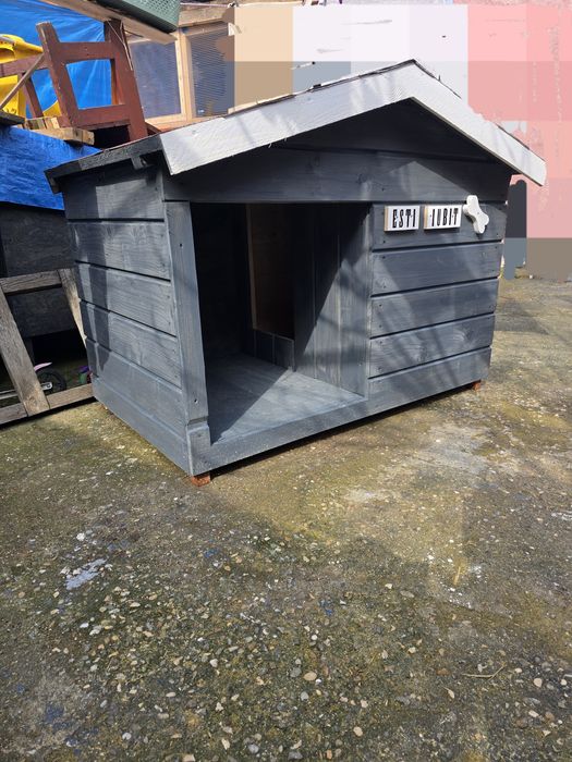 Cotete/cușcă! Câine