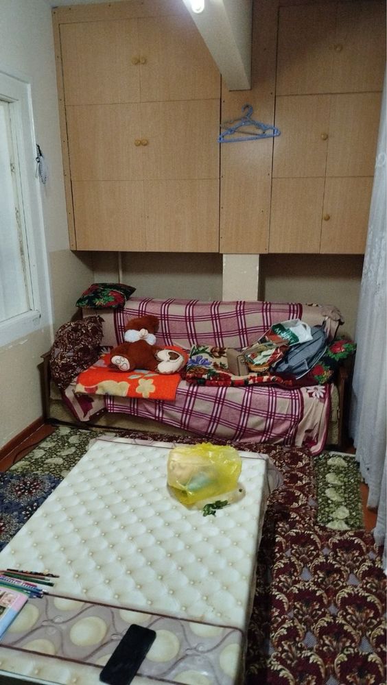 Аренда Кора камиш 1/2 2аренда