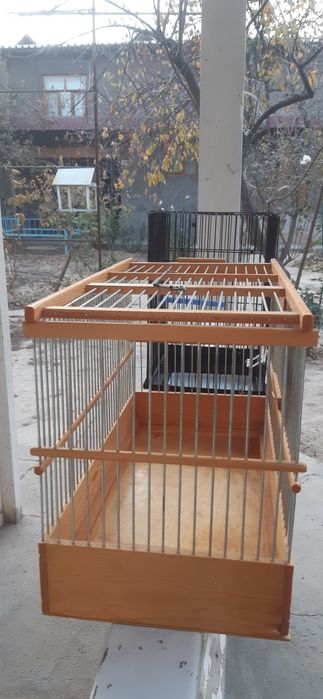 Кафаслар 2 дона зор ахволда