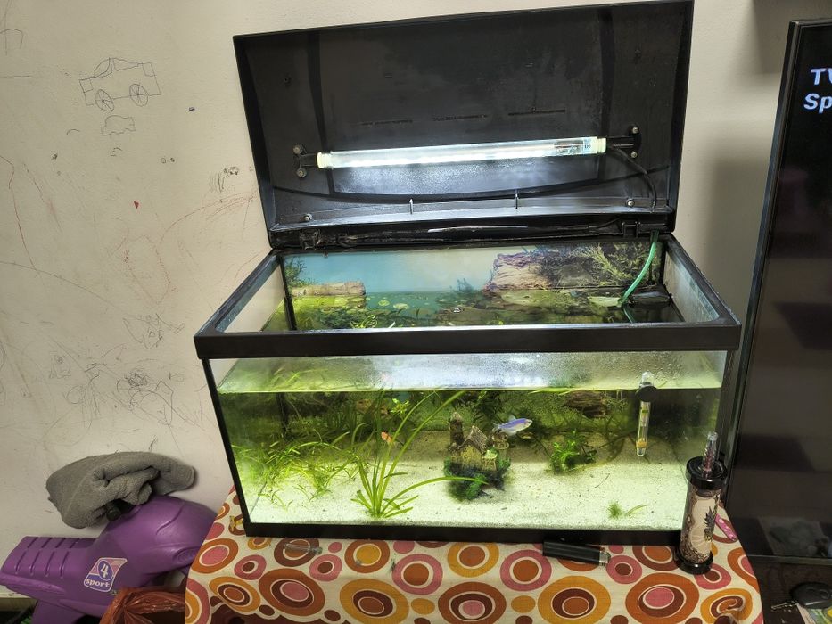Vând acvariu 54L
