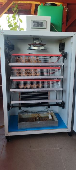 Incubator de 240 de ouă