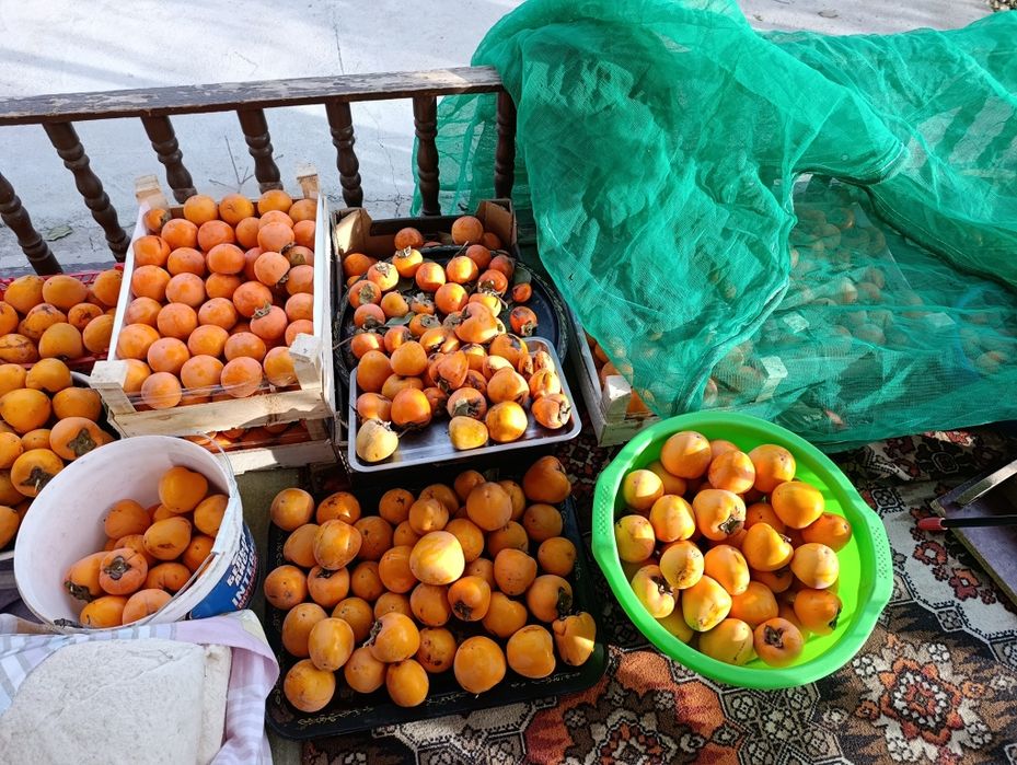 Uzo voxtgacha saqlasa boladgan xurmo ikki xil limon va shkoladniy