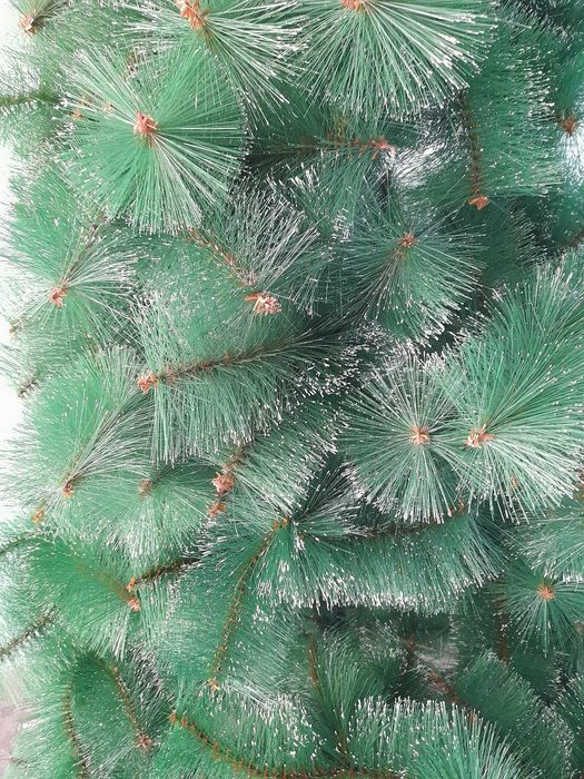 Archa  2 . 60.   150 e.