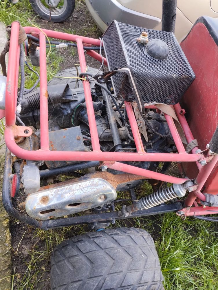 Vand buggy fara acte