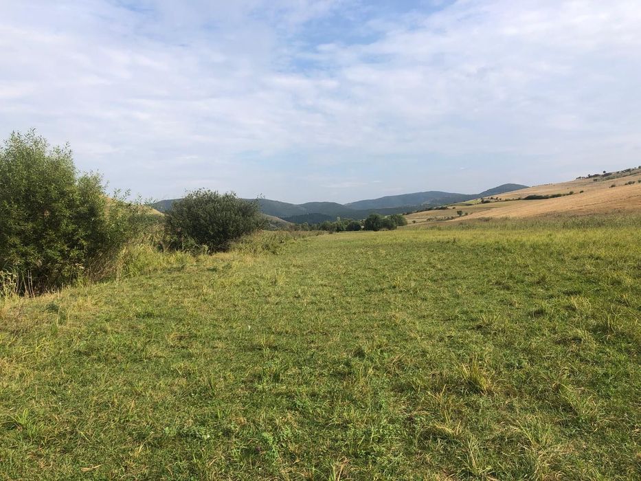 Teren de vanzare iara