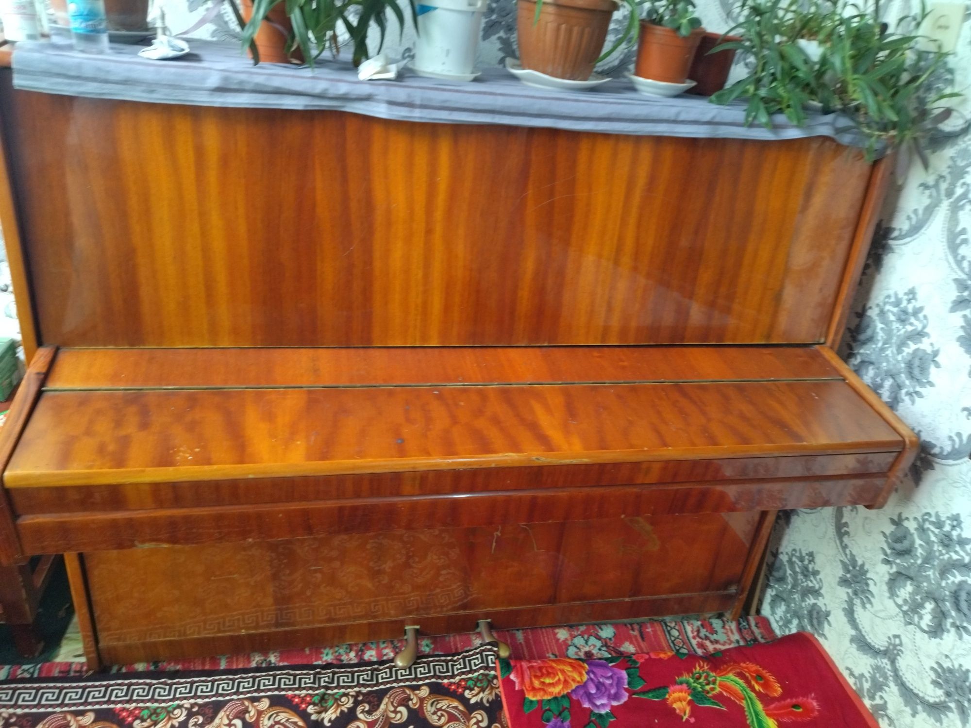 Pianino Lastochka