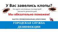 ДЕЗИНФЕКЦИЯ уничтожение клопов,тараканов,муравьев,крыс,клещей,блох,ос!