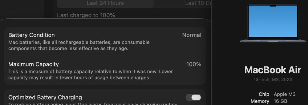 Macbook Air M3 16GB/256GB