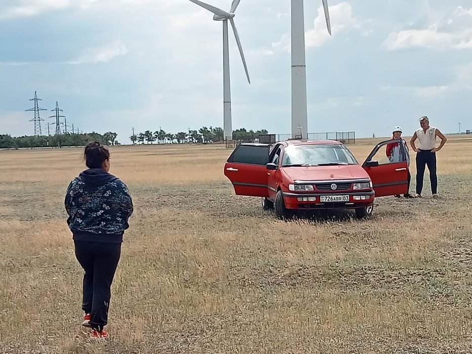 Продам живого немца