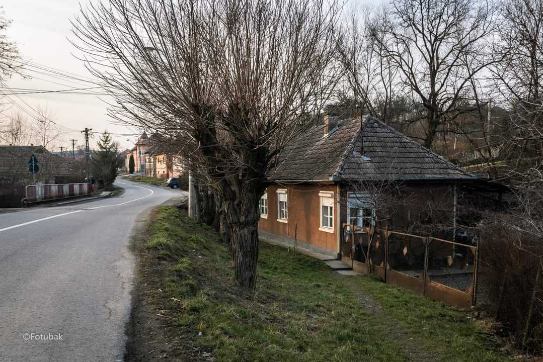 Casa zona centrala