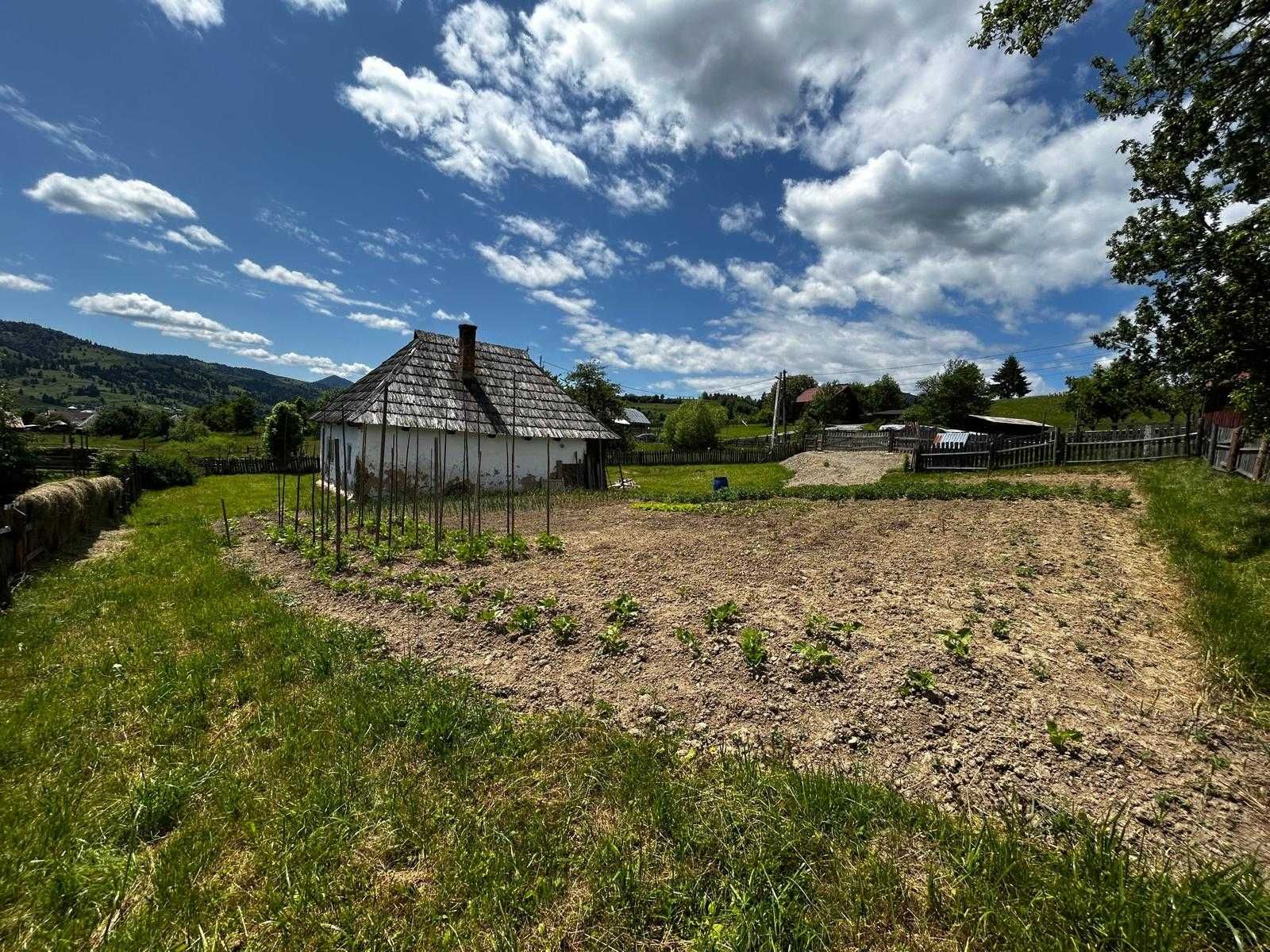 Vând teren intravilan cu casă veche, Lunca Ilvei