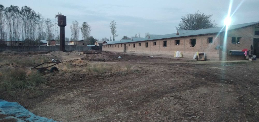 Сдается в аренду ферма