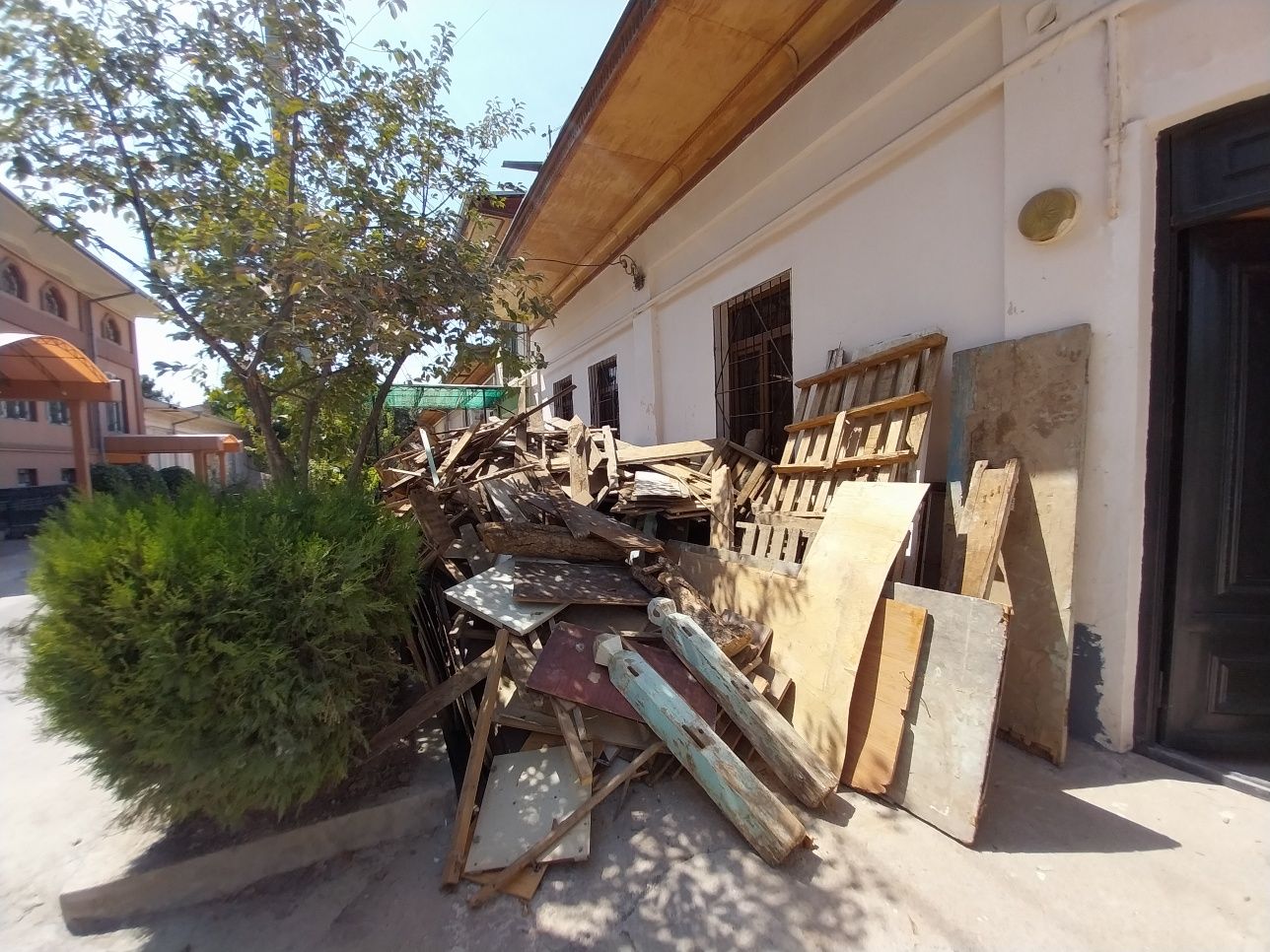 Taxta to'sin yog'ochlar o'tin narxida sotiladi.