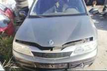 Vand Chiulasa Far Alternator Injector Capota Oglinda Baie Laguna 1.9