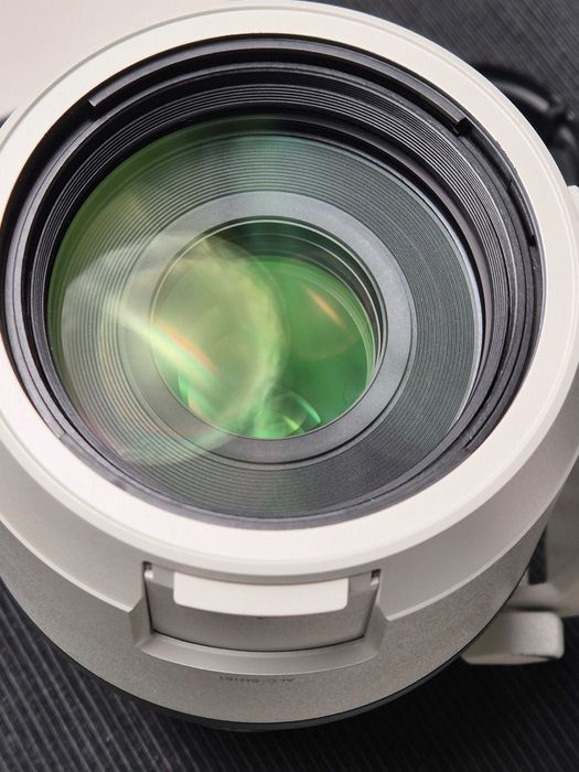 Sony FE/E 100-400mm f/4.5-5.6 GM OSS