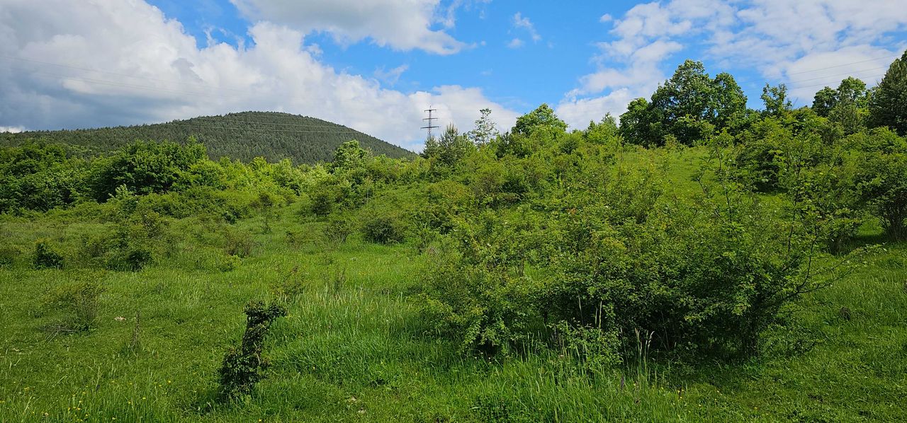 Продава се Парцел в Перник, Изток - 11803 кв.м за 16 €/кв.м - Снимка #9