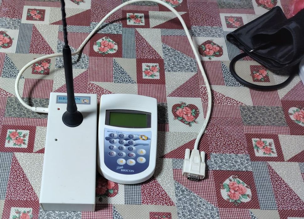 Ceas porumbei bricon