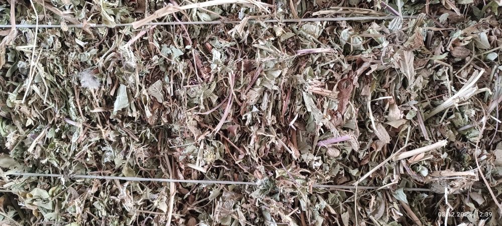 Ерённок пресс Сотилади