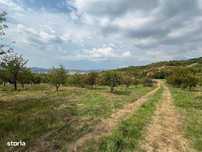 Teren de vânzare Zona Budacului