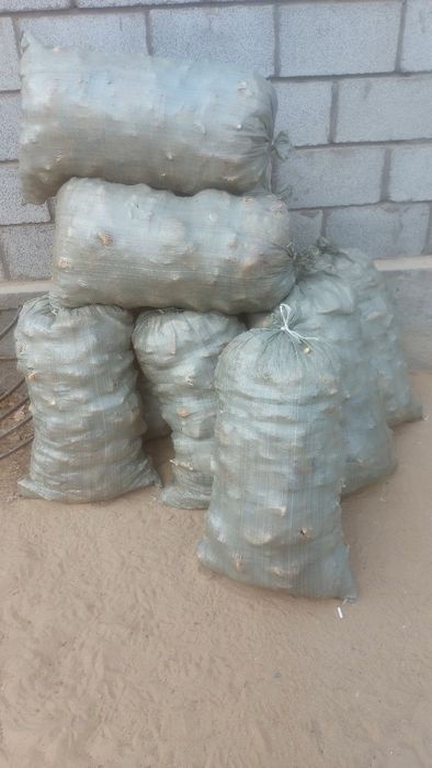 Малға кепкен нан