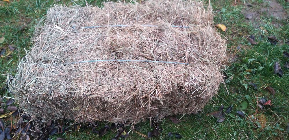 Baloti de otava    .