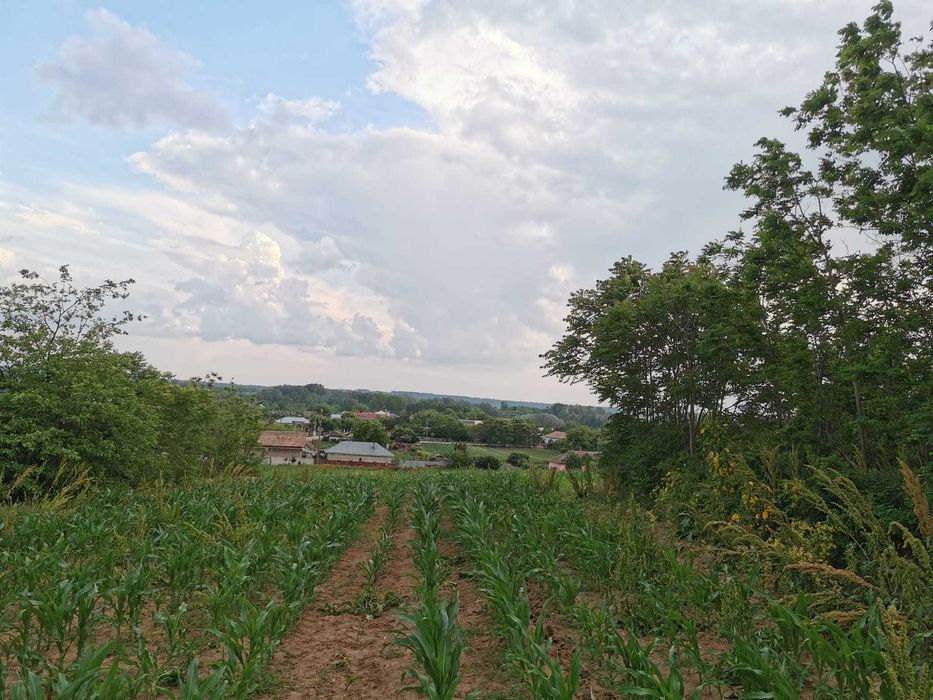 Vand teren 2800mp in Soparlita, Olt