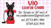 Salon infrumusetare canina