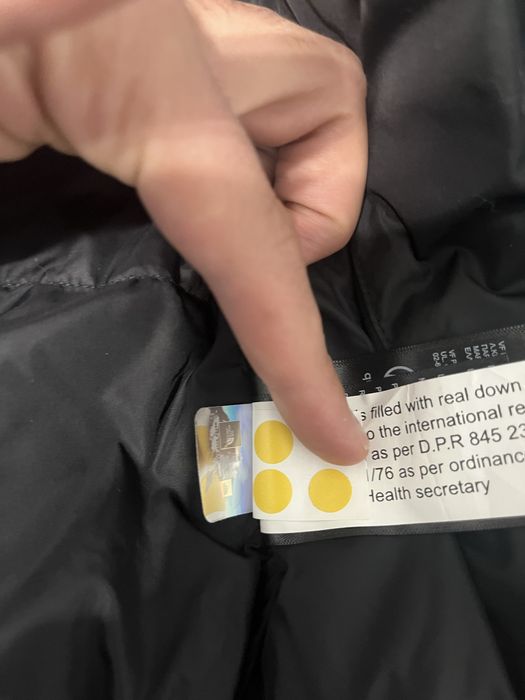 The North Face 1996 Nuptse jacket