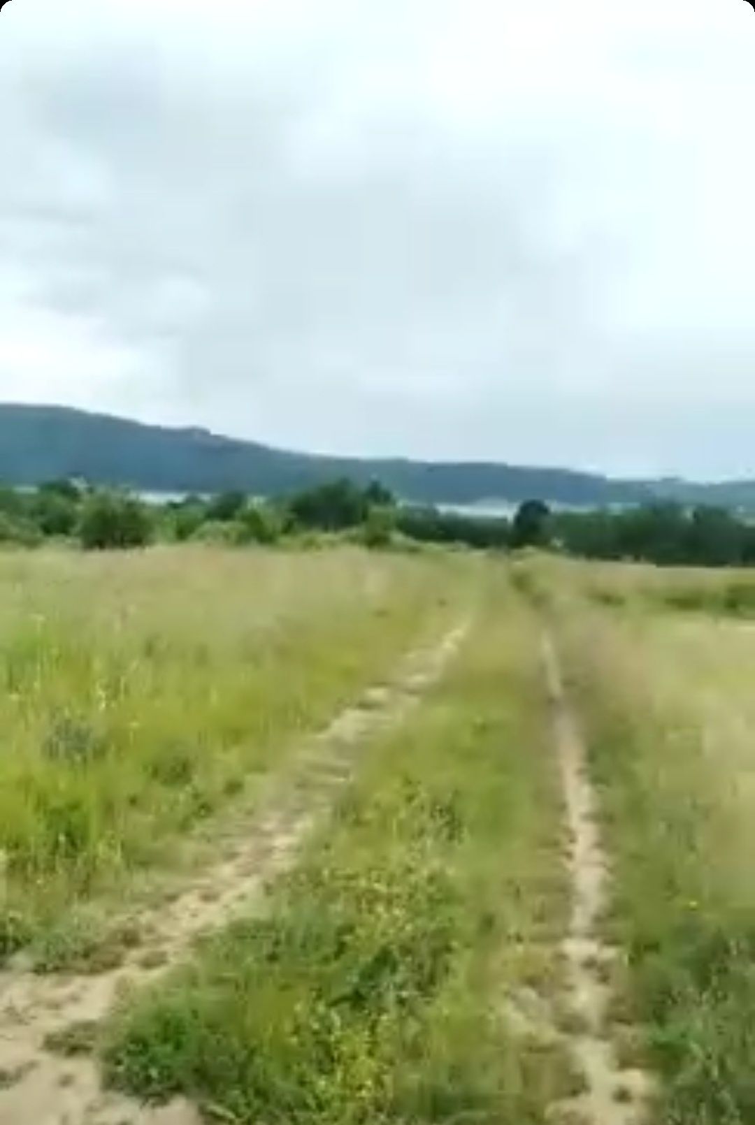 Teren  intravilan la lacul Surduc