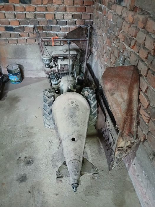 Vând cositoare carpatina