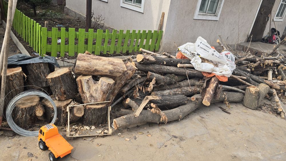 Дрова отдам бесплатно
