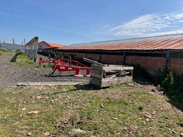 De vanzare Teren cu Casa si Grajd in Vinga.