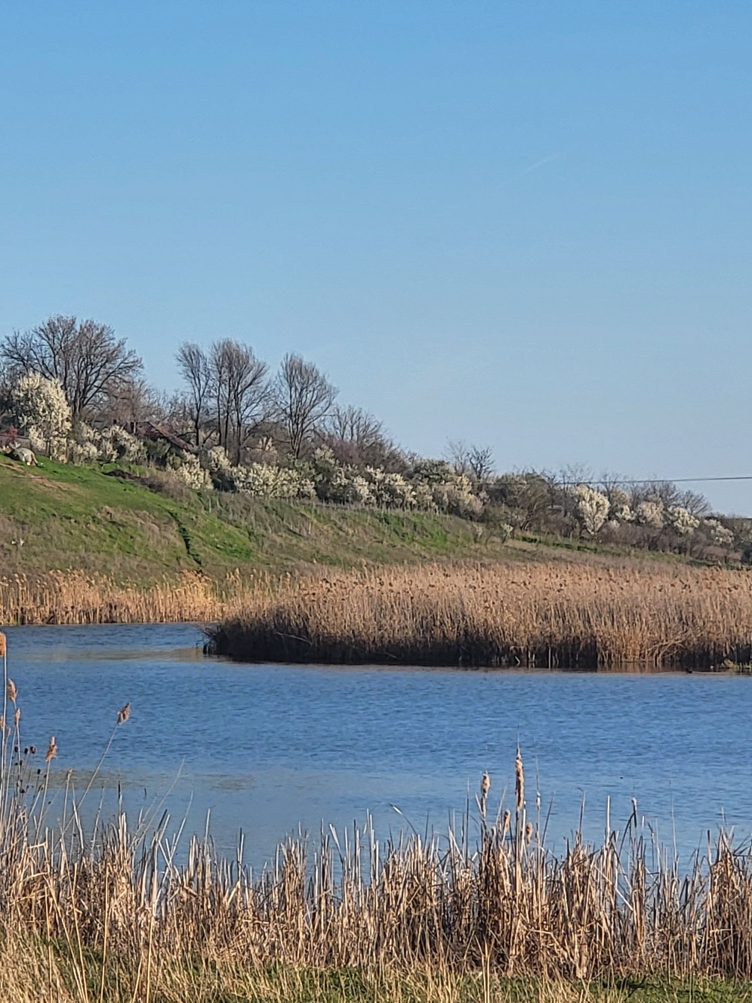 Teren intravilan la lac