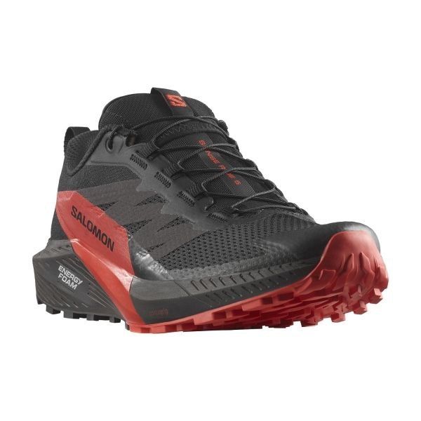 Salomon Sense Ride 5 кроссовки для бега универсальная