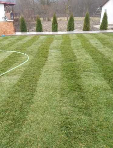 Sisteme de Irigare si Gazon Rulou