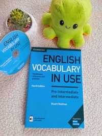 English vocabulary in use +disk | original