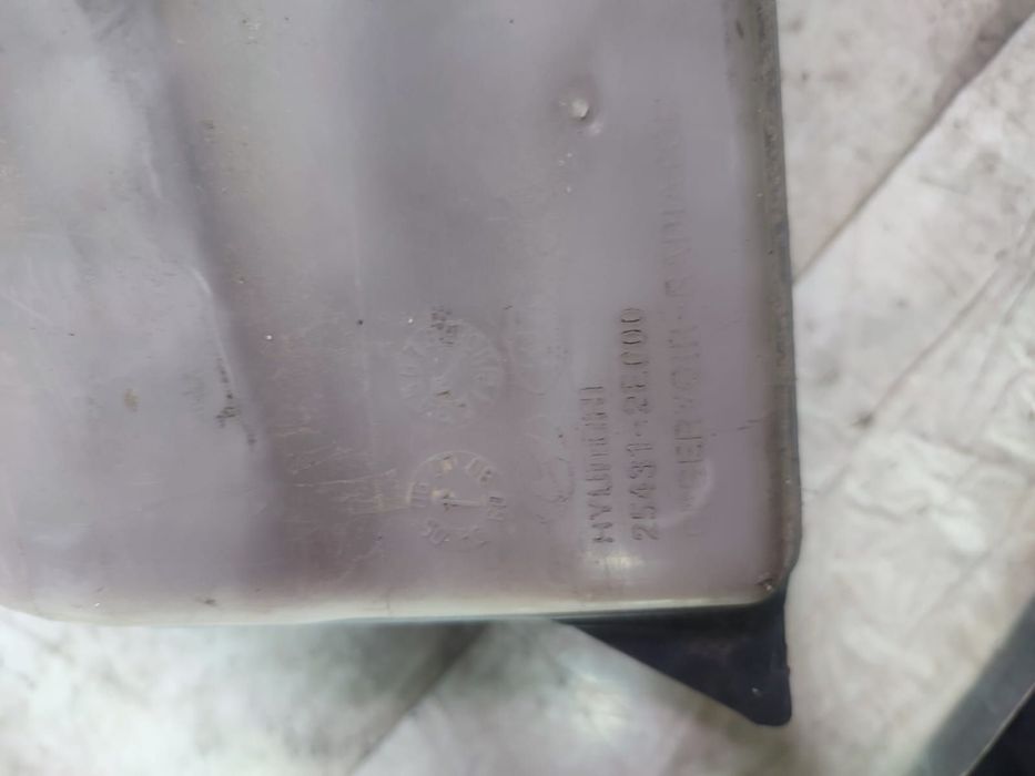 Vas expansiune25431-2e000 Hyundai Tucson 1 [2004 - 2010]