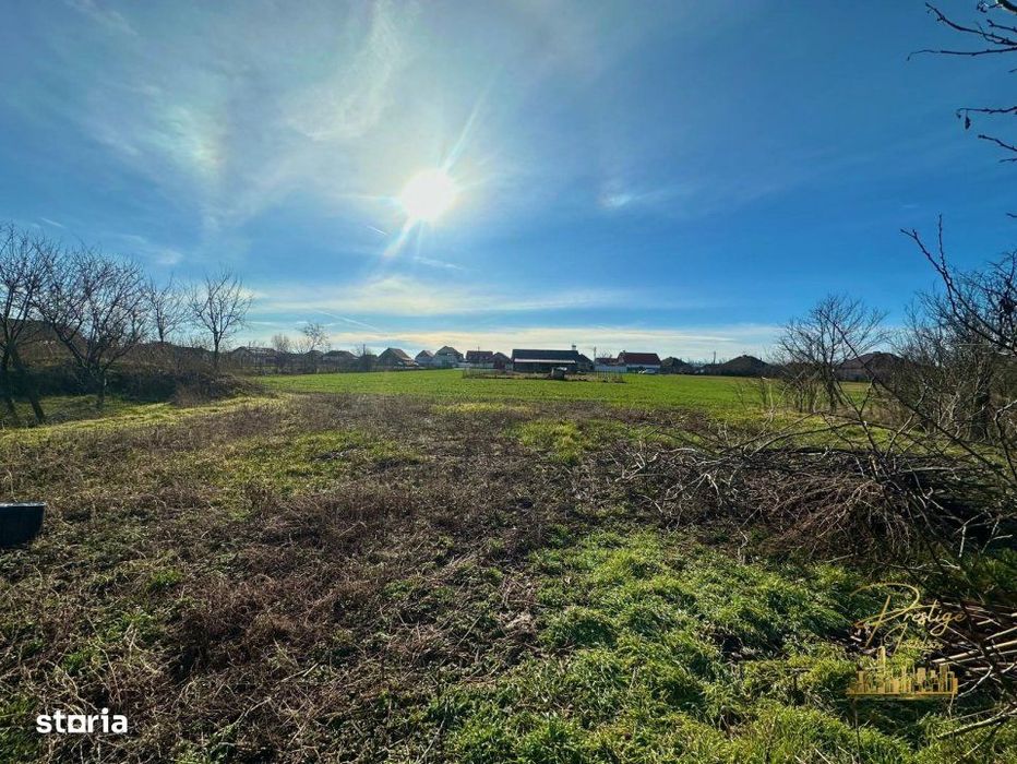 Teren de 1400 mp la strada principala in Salard - Bihor