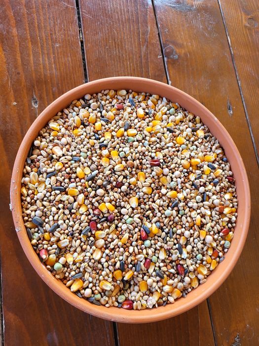 Mancare porumbei 20kg sac de hârtie