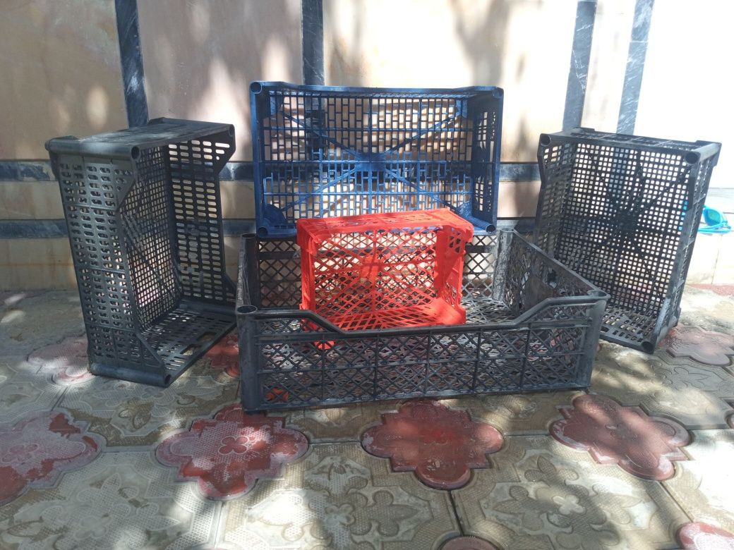Optom yashikpar hammasidan bor qancha kerak bòsa