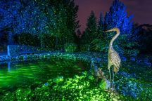 многоточков зелен лазер, градинска декорация, Luхula, нов, немски