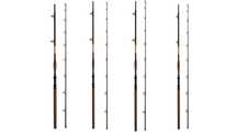 Set 4 Lansete Somn DELPHIN SYMBOL CAT 310cm/500g 2 Tronsoane