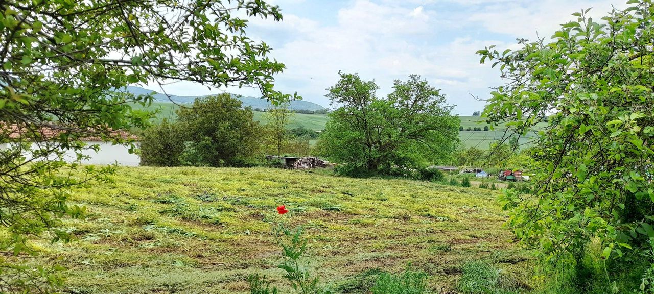 Продава се Къща в с. Храброво, Област Варна - 80 кв.м за 375 €/кв.м - Снимка #1