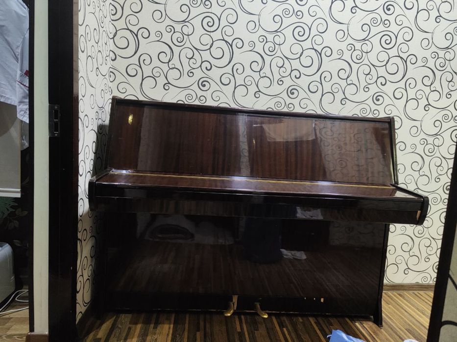 Пионино сотилади